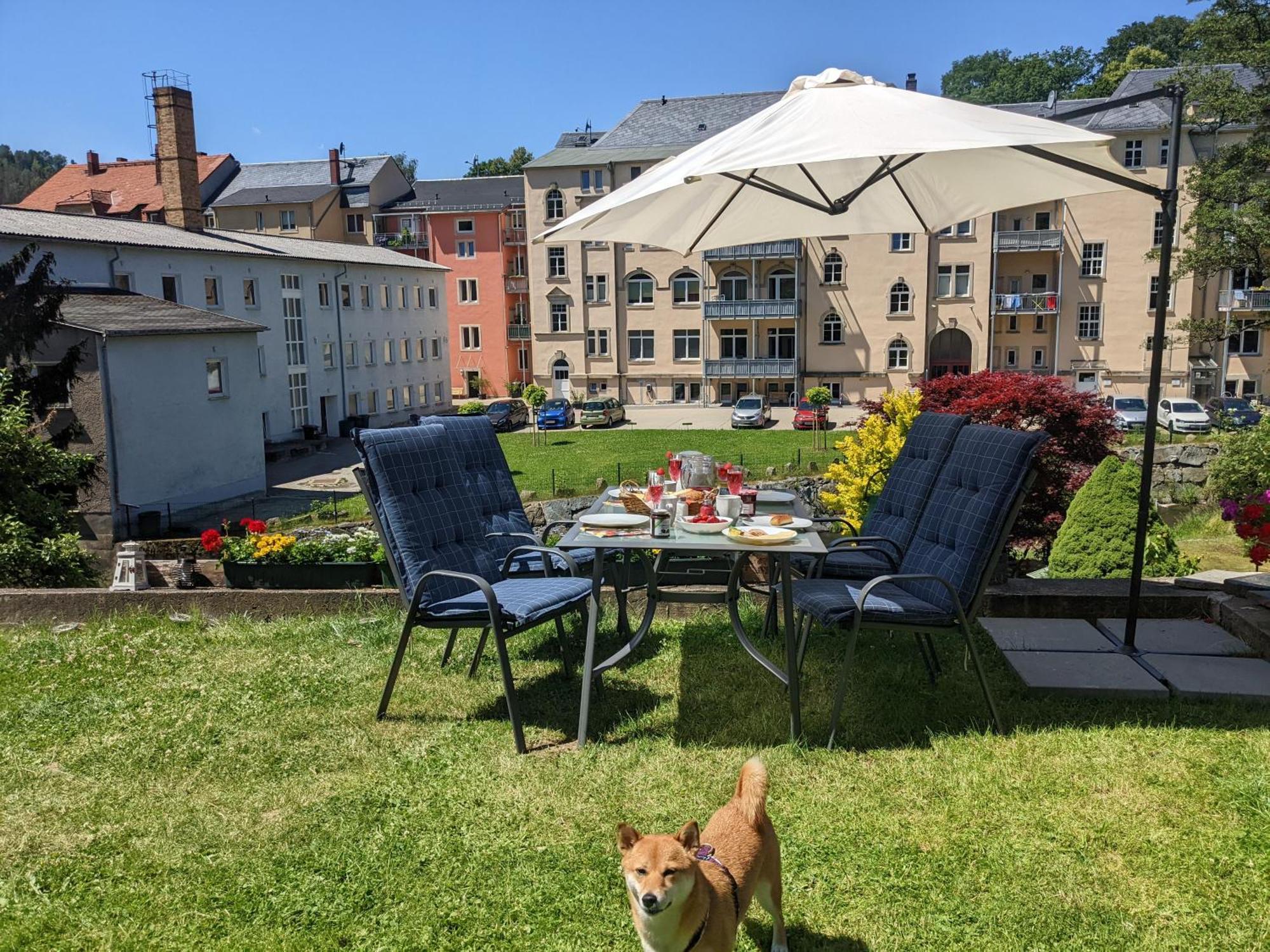 Uo2 - Urlaubsmagie - Garten, Whirlpool, Sauna Apartment Sebnitz Ngoại thất bức ảnh